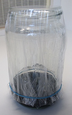 Glas nach dem Abschneiden der überschüssigen Folie.