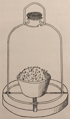 Bell jar for sowing on fungus-infected substrate (Burgeff 1911)